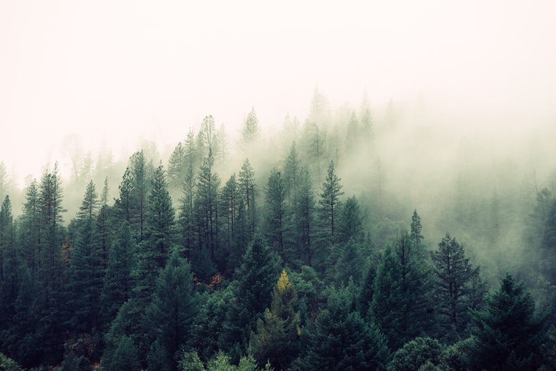 Soft daylight falling across a room through a large window, gently lighting a quiet interior